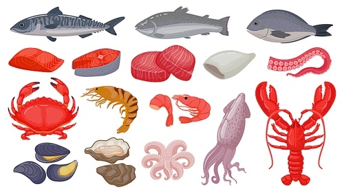 Cartoon raw seafood, fish, fresh salmon, lobster and squid. Ocean shrimp, tuna steak, shellfish and octopus tentacle. Marine food vector set. Products for shop or restaurant, healthy meal