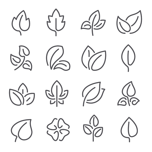 Natural leaf line icons. Young leaves of plants, forest tree oak, elm and ash leafs and eco greens fertilizer or autumn fall, garden vector outline pictogram isolated symbol set