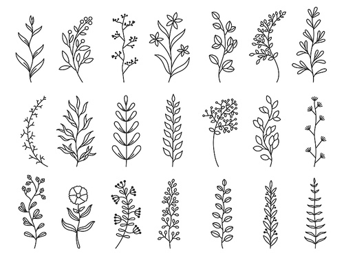 Herbal art. Doodle botanical decorative elements for tattoo, invitation and greeting cards, line sketch of forest branches. Vector minimal hand drawn wildflowers. Seasonal flora, wild beautiful botany