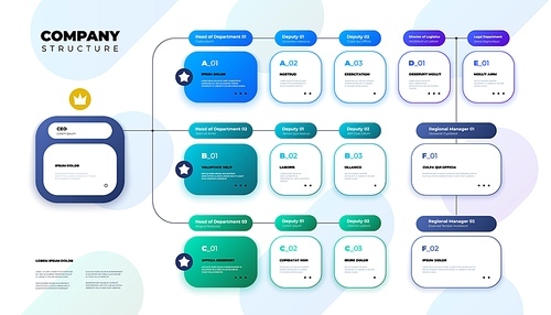 Company structure. Business organization scheme infographic, corporate hierarchy graphic elements. Vector illustration. CEO, head department, deputy, director of logistics and regional manager