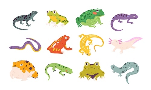 Cartoon exotic amphibian and reptiles, lizards, newts, toads and frogs. Tropical animals, gecko, triton, salamander and axolotl vector set. Wildlife colorful creatures isolated on white