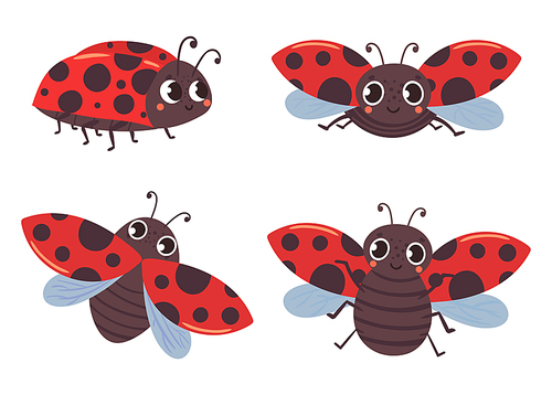 Cartoon ladybug insects with red black wings. Vector red insect cartoon, illustration of isolated fly ladybird, cute summer beetle