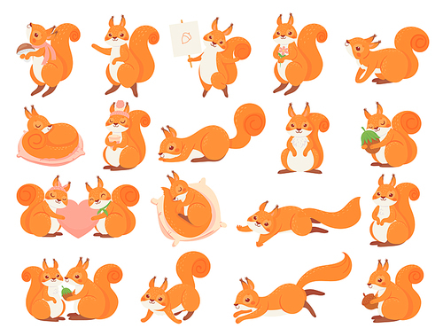 Cartoon squirrel collection poses, happy and love. Vector squirrel animal and wild fauna, wildlife fluffy mascot character illustration