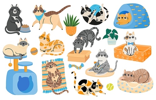Cartoon cats playing with toys, relaxing and sleeping in bed. Happy pet kitten characters in funny poses. Cute tabby cat stickers vector set. Purebred domestic animals with fish, ball, claw sharpener