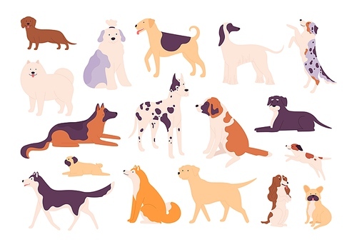 Flat dogs and puppies big and small breed types. Shiba inu, german shepherd, beagle, pug, dachshund and husky. Pet animal dog vector set. Illustration of dogs set character