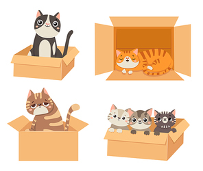 Cats in boxes. Animals sitting and sleeping in cardboard boxes. Little kittens looking out. Fluffy cute pet characters of different colors. Funny domestic animals isolated vector set