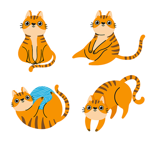 Cat poses collection, cute pet sitting or lie. Vector kitten pet playful, cute cats breed, funny kitty illustration