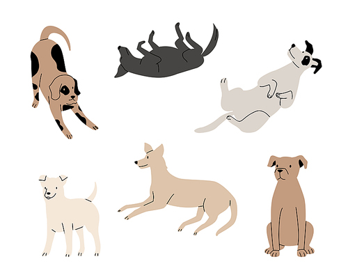 Funny active dogs in different positions. Playful pets, sitting, standing and lying puppies isolated set. Cartoon domestic purebred characters. Friendly cute animals vector illustration