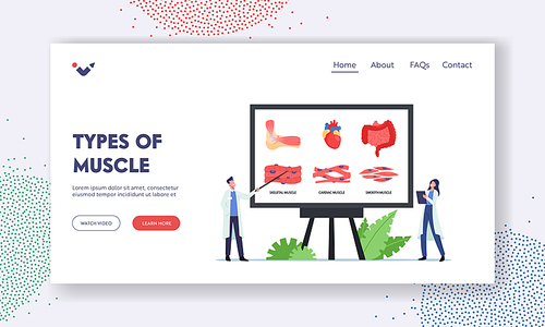 Types of Muscles Landing Page Template. Tiny Doctors Characters at Huge Board with Infographics Presenting Skeletal, Cardiac and Smooth Muscles. Medicine, Anatomy. Cartoon People Vector Illustration