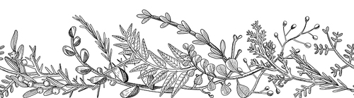 doodle branches with leaves and berries, monochrome floral design elements, sketch plants on white background. engraved graphic pattern,  or border. vector line art illustration