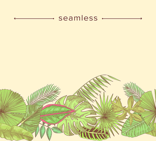 Tropical Leaves and Branches Seamless Pattern, Hand Drawn Border, Doodle Background. Rainforest Decorative Composition, Sketch Frame with Engraved Botanical Elements. Linear Vector Illustration