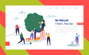 People Farmer Harvest Apple Concept Landing Page. Woman Character Harvesting Ripe Fruit to Basket. Man Control Farm with Drone Website or Web Page Flat. Cartoon Vector Illustration