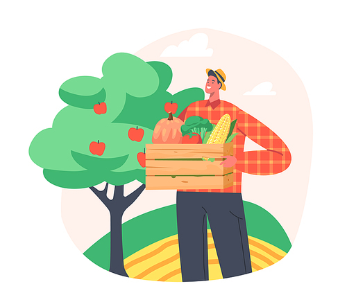 Man Farmer Working in Garden Harvesting Ripe Fruits and Vegetables in Wooden Box. Gardener Character Harvesting Ripe Healthy Farm Production on Ranch at Autumn Season. Cartoon Vector Illustration