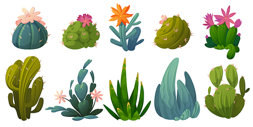 Cute cactuses, succulents and desert plants with flowers isolated on white . Vector cartoon set of green prickly cacti with blossoms and spikes. Icons of houseplant and garden cactaceae
