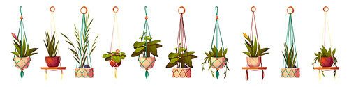 House plants in hanging pots, isolated set of flowers in macrame hangers. Green planters in handmade holders made of rope for home interior decoration on white , Cartoon vector illustration