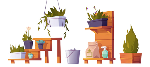Green plants in pots on wooden stand for greenhouse. Vector cartoon set of flowers, succulents and plants for hot house, bucket and sprayer bottle. Glasshouse equipment isolated on white