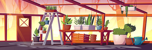 Glass greenhouse with plants, trees and flowers. Vector cartoon interior of empty hot house for cultivation and growing garden plants in pots. Botanical nursery for greenery