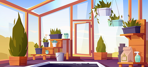 Greenhouse interior with potted plants on shelves. Empty winter garden, orangery with glass walls, windows, roof and stone floor, place for growing flowers, inside view. Cartoon vector illustration