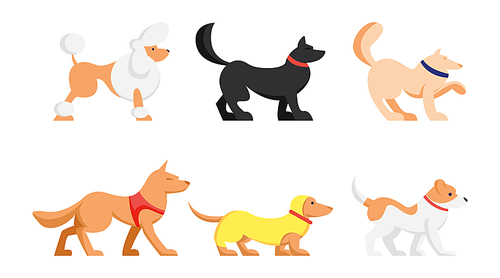 Set of Cute Dogs of Different Breeds Isolated on White Background. Poodle, Dachshund and Husky Pets, Group of Animals Side View. Funny Cartoon Characters, Flat Vector Illustration, Icon, Clip Art