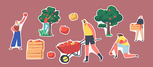 Set of Stickers Gardener Characters Harvesting Apples in Garden. Man with Wheelbarrow, Wooden Box with Apple Crop, Tree with Ripe Fresh Fruits. Cartoon People Vector Illustration, Isolated Patches