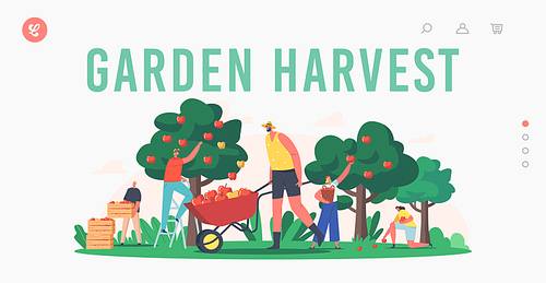 Garden Harvest Landing Page Template. Characters Harvesting Apples in Orchard, Gardeners Collecting Fruit Crop, Ecological Farm Production. Agriculture Works. Cartoon People Vector Illustration