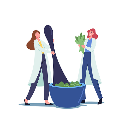 Tiny Female Pharmacists Characters Grind Plants and Natural Ingredients in Huge Mortar for Making Traditional Medicine or Ayurvedic Remedy of Herbs and Natural Plants. Cartoon Vector Illustration