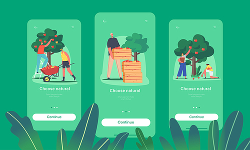 Natural Food Mobile App Page Onboard Screen Template. Characters Harvesting Apples in Garden or Orchard, Gardeners Collecting Fruit Crop, Agriculture Concept. Cartoon People Vector Illustration