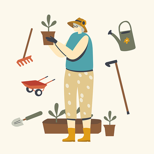 Senior Woman Gardening or Farming Hobby. Aged Grey Haired Female Character in Gloves Caring of Home Plants in Pots. Old Lady Holding Potted Flower Enjoying Care of Plants. Linear Vector Illustration