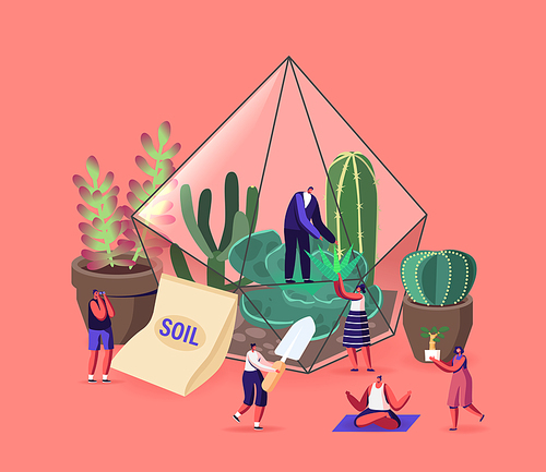 Tiny Male and Female Characters Grow Cacti and Succulents in Pots at Home, Gardening, Planting Hobby Growing Plants and Making Compositions in Terrarium Concept. Cartoon People Vector Illustration