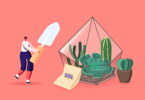 Home Gardening, Growing Plants in Terrarium Concept. Female Character with Spade Planting Succulents. Botanist Planting Flowers or Houseplants, Grow Cacti, Planter Hobby. Cartoon Vector Illustration