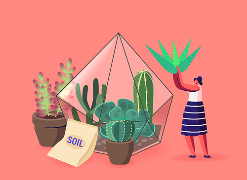 Girl and Potted Green Plants, Gardening, Flowers Planting Hobby Concept. Woman Growing Plants in Terrarium. Female Character Grow Cacti and Succulents in Pots at Home. Cartoon Vector Illustration