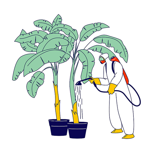 Worker Character in Protective Suit and Mask Fertilizing Palm Tree on Banana Plantation Labour Work in Tropical Country Growing and Care of Fruits for Distribution Abroad. Linear Vector Illustration