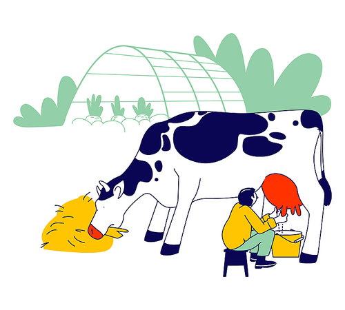Young Milkmaid in Uniform Sitting on Chair and Milking Cow into Bucket. Milk and Dairy Farmer Agriculture Products, Farming Rancher Working on Animal Farm Cartoon Flat Vector Illustration, Line Art