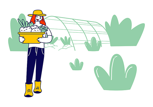 Girl Farmer or Gardener in Working Robe with Basket of Ripe Healthy Vegetables from Greenhouse, Farm Natural Product, Organic Food Gardening, Farmland Cartoon Flat Vector Illustration, Line Art