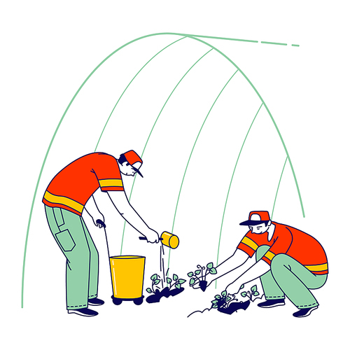 Strawberry Farm Workers in Uniform Planting Berries in Greenhouse or Field. Immigrant or Volunteer Characters Care and Growing Strawberry for Abroad Distribution. Linear People Vector Illustration