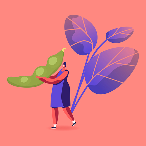 Woman Carry Huge Fresh Soy Bean Pod. Soya Plant Products Healthy Nutrition, Vegan Food, Alternative Protein Source Concept. Soybean Harvest, Fresh Vegetable Eating Cartoon Flat Vector Illustration
