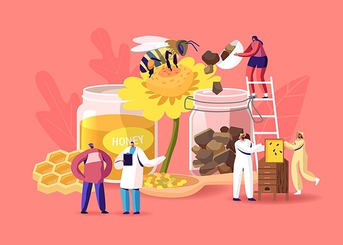 Characters Extracting Apiary Production Honey and Pollen Propolis. Beekeeper in Protective Outfit Taking Honeycomb. Producing Natural Eco Product on Beekeeping Farm. Cartoon People Vector Illustration