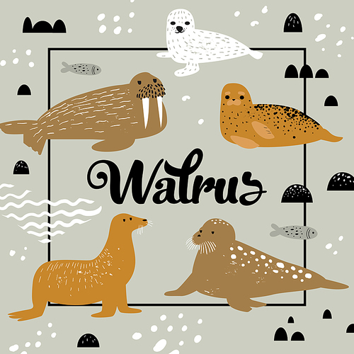 Childish Design with Seal and Walrus. Cute Background with Abstract Elements. Baby Oceanic Doodle for Decoration, Birthday Invitation. Vector illustration