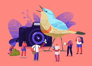 Birding, Ornithology Concept. Ornithologists Group Characters Using Binoculars, Camera and Special Equipment Watching Birds. Observation in Natural Habitats Hobby. Cartoon People Vector Illustration