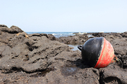 제주도의 바닷가에서 흔히 볼수 있는 해양쓰레기