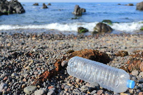 바다를 병들게 하는 인간들이 무심코버린 플라스틱병
