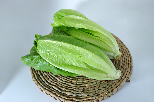 건강식단에서 빠질수 없는 필수야채로 쓰이는 요리재료, 로메인과 프릴아이스