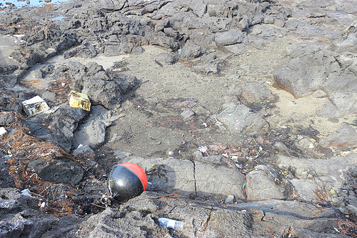 제주도의 바다에 점점 쌓여가는 해양쓰레기들 중에 스티로폼, 플라스틱 페트병, 그리고 고기잡이 어선에서 쓰는 어구들