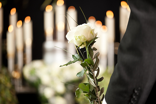 Religion, death and dolor  - man at funeral with white rose mourning the dead