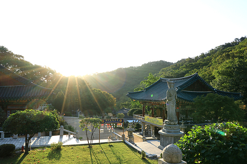 아침의 사찰경내