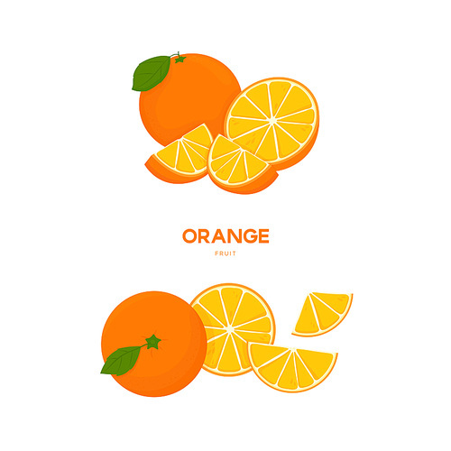과일 오렌지 일러스트 모음
