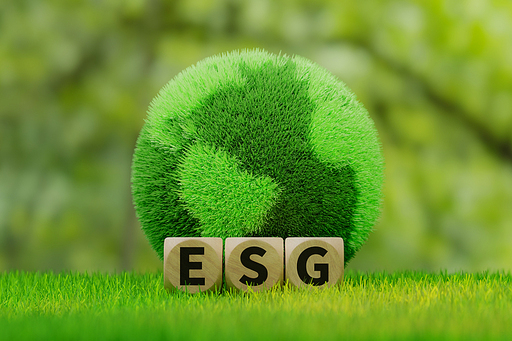 ESG 경영