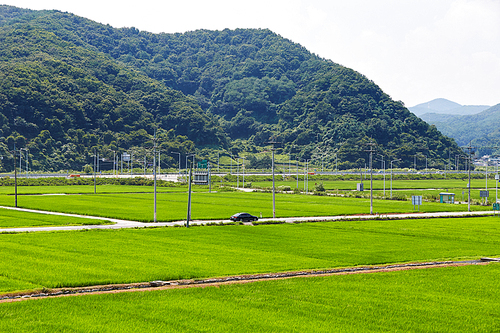 경주시,경북,한국