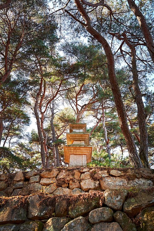 경주남산탑곡마애불상군(보물201호),남산,경주시,경북,한국