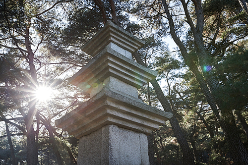 경주남산탑곡마애불상군(보물201호),남산,경주시,경북,한국